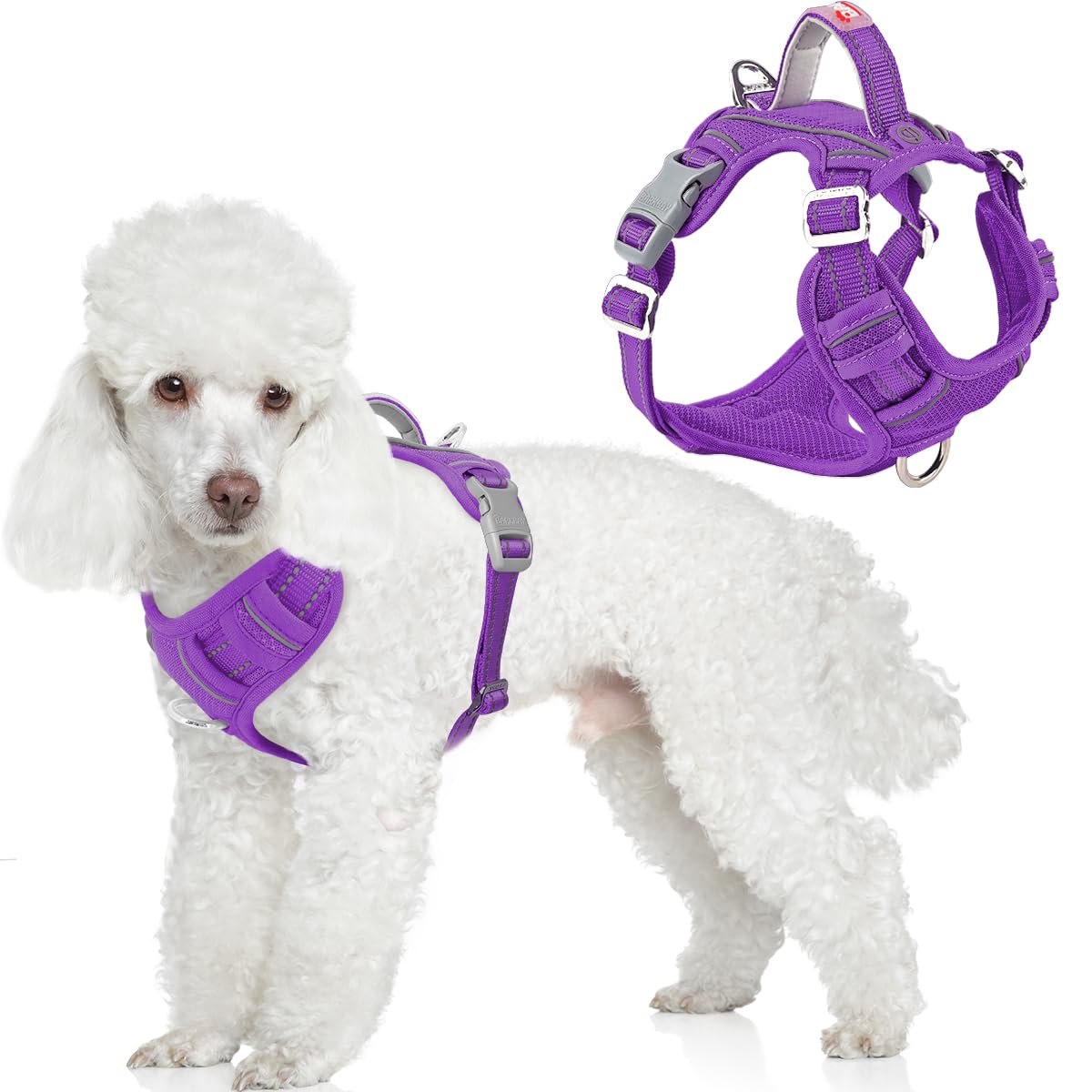 BARKBAY Dog Harness No Pull with ID Tag Pocket - Heavy Duty, Reflective, Easy Control for Large Dogs(Purple,XS)