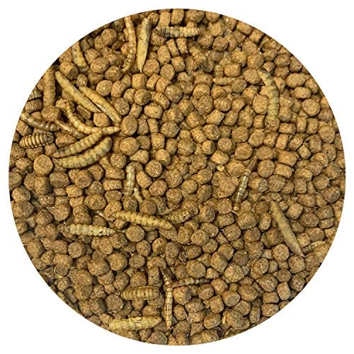 Exotic Nutrition Hedgehog Essential 40 lb - Chicken Kibble with Mealworms