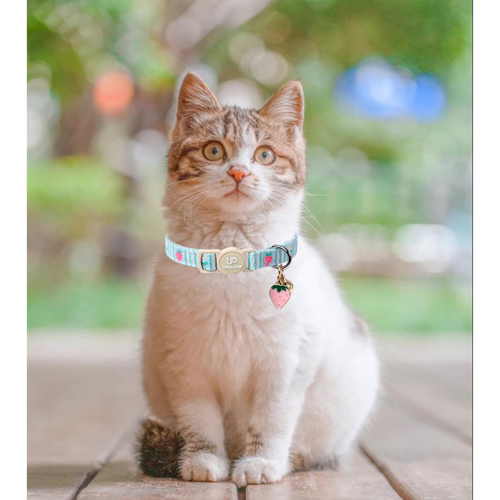 Up Urara Pup Cat Collar, Pack Of 2 Summer Kitten Collars-Cute Lime And Strawberry Pendants-Breakaway Kitty Collars,Cat Collar Wi
