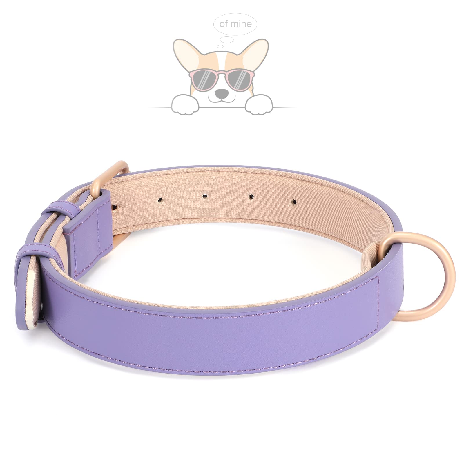WHIPPY Leather Dog Collar - Adjustable, Soft, Waterproof, M (Neck 16"-20"), D-purple