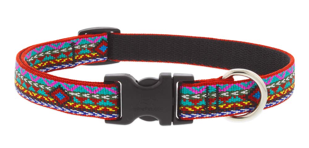 Lupine Dog Collar 3/4' Wide El Paso Design Adjusts 9-14' Long