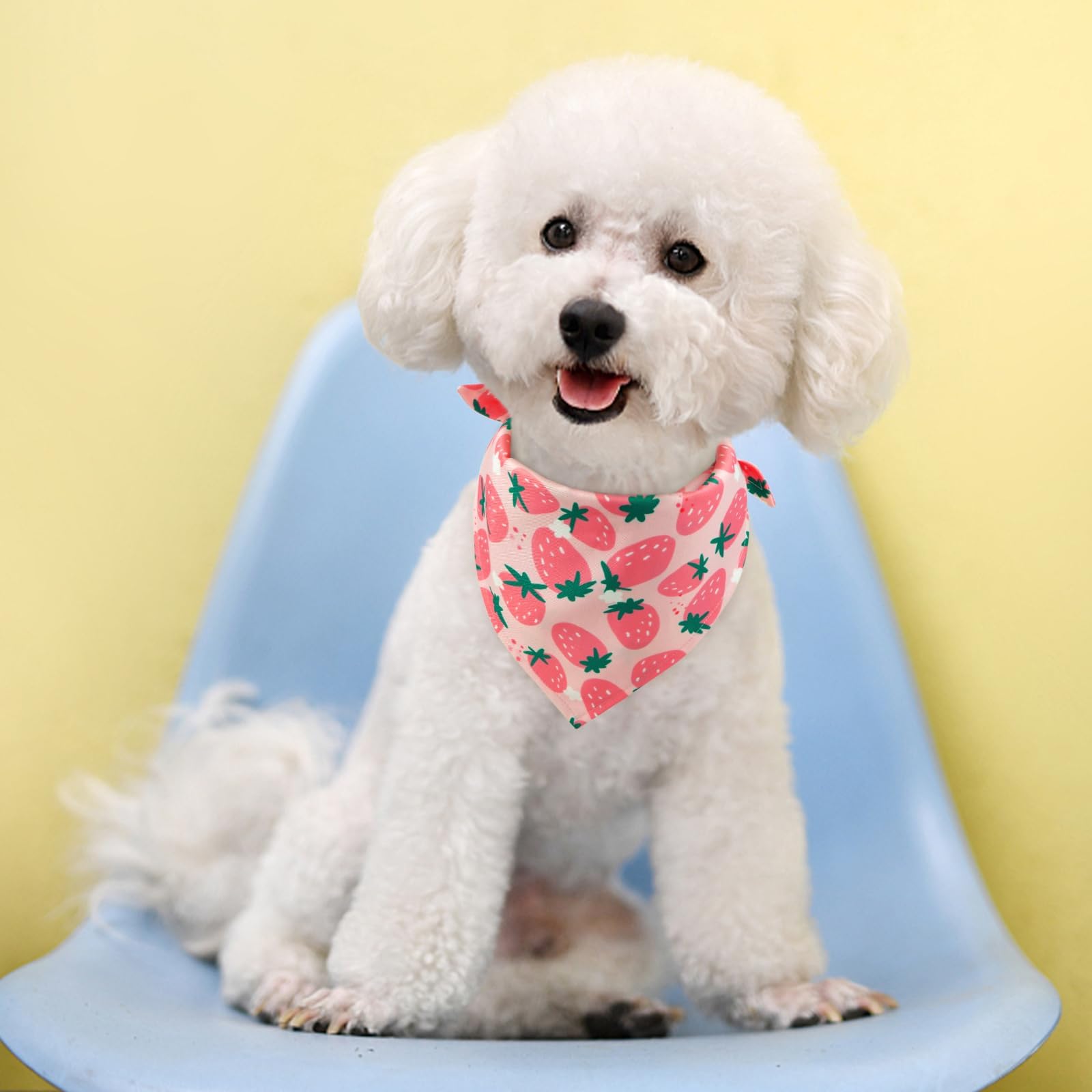 Kuoser Dog Bandanas, Triangle Reversible Fruit Print Pet Bandanas For Boy And Girl, All Seasons Bandana For Small Medium And Lar