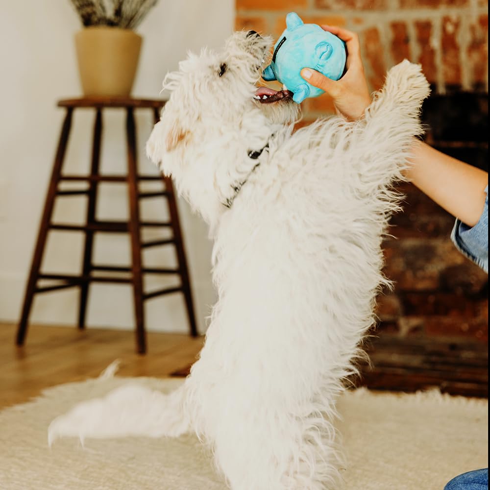 Playology Puppy Dog Ball For Sensory Development | Medium Sized Stuffed Chew Toy With Squeaker For Puppies Up To 50Lbs | Engagin