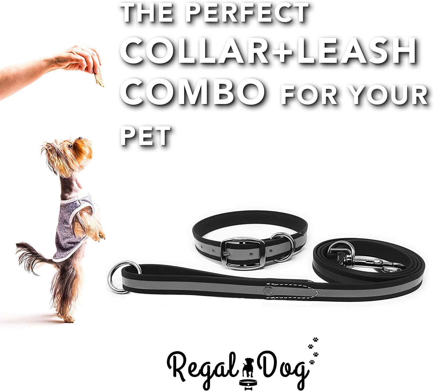 Regal Dog Products Small Black Reflective Dog Collar And Leash Set - Waterproof Biothane Dog Collar With Heavy Duty Double Buckl