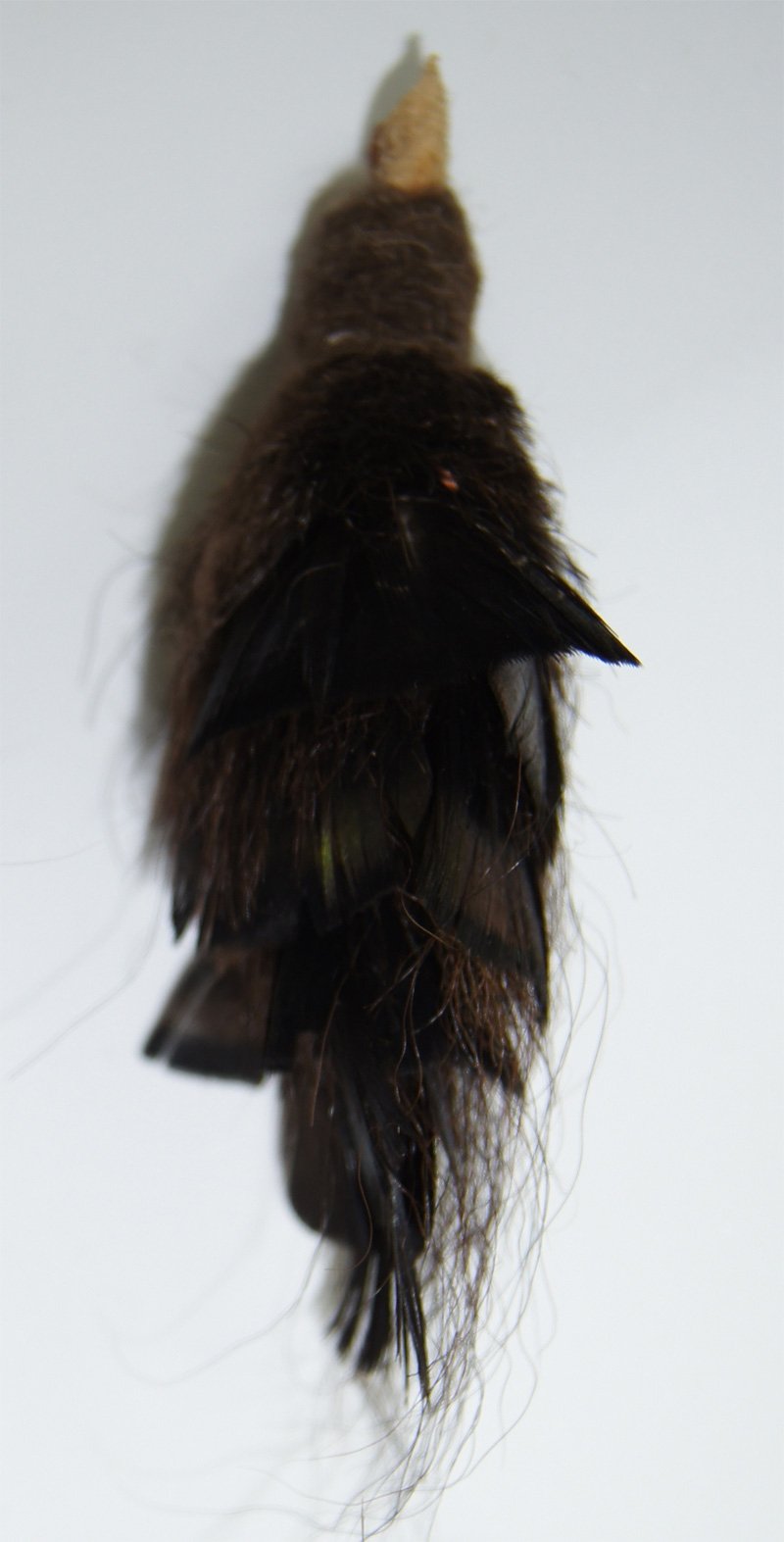 Big Sky Cats American Crow Bird Refill/Attachment - Fits Wildcat And Popular Bird And Mouse Type Wands/Poles