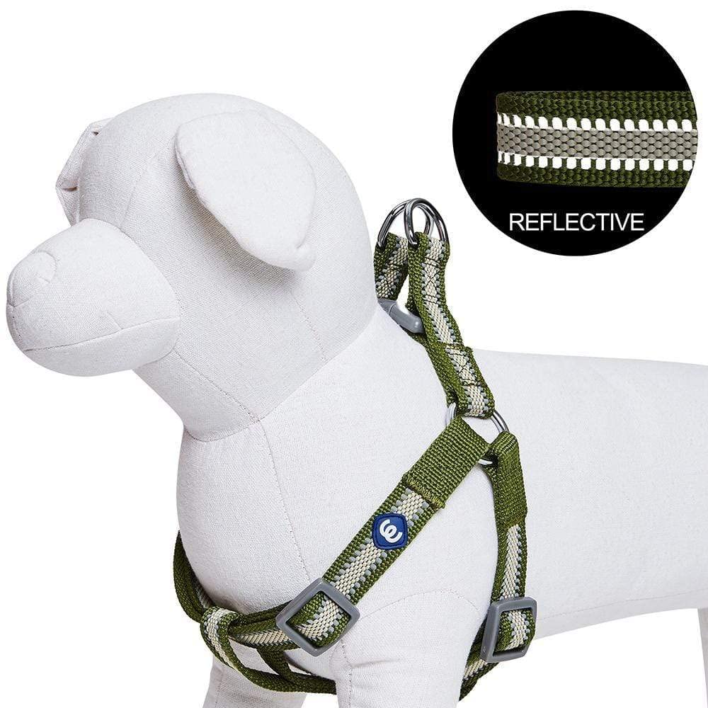 Blueberry Pet Essentials Step-in Reflective Back to Basics Dog Harness, Dark Olive, Chest Girth 16.5 - 21.5, Small, Adjustable H