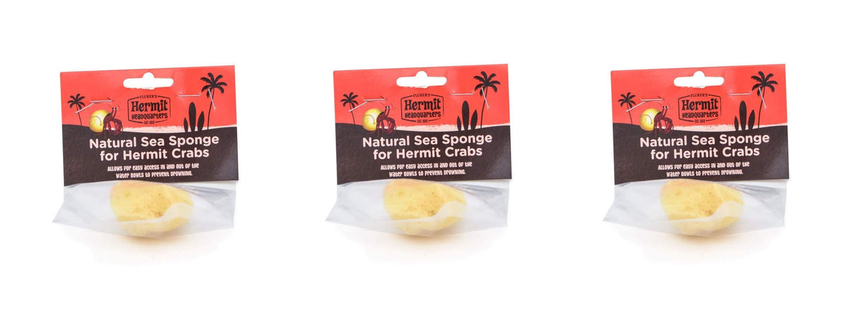 Fluker'S Natural Sea Sponge For Hermit Crabs (3 Pack)