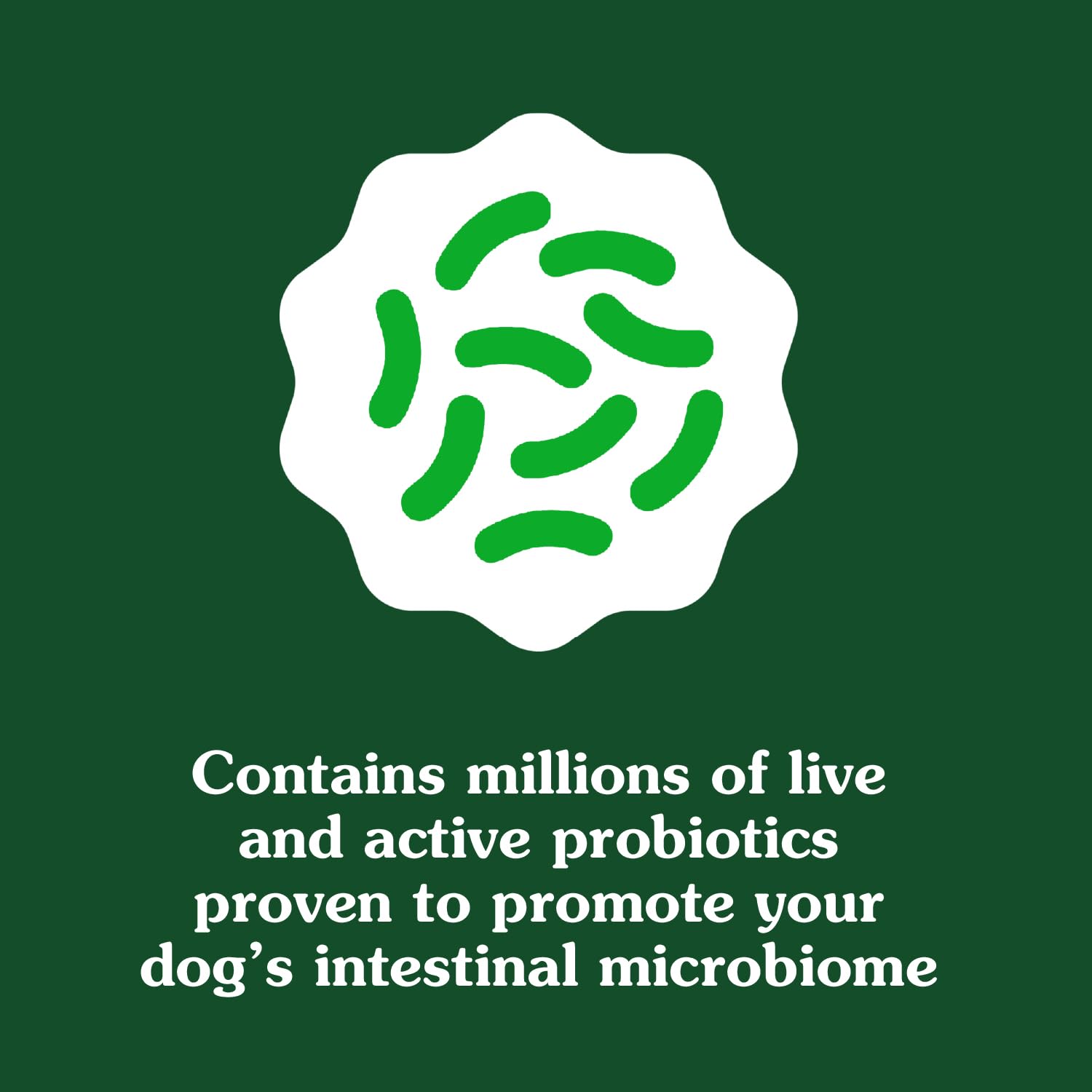 Greenies Supplements Digestive Health Probiotics for Dogs Chicken Flavor, 15.6 oz. Tub of 80 ct.