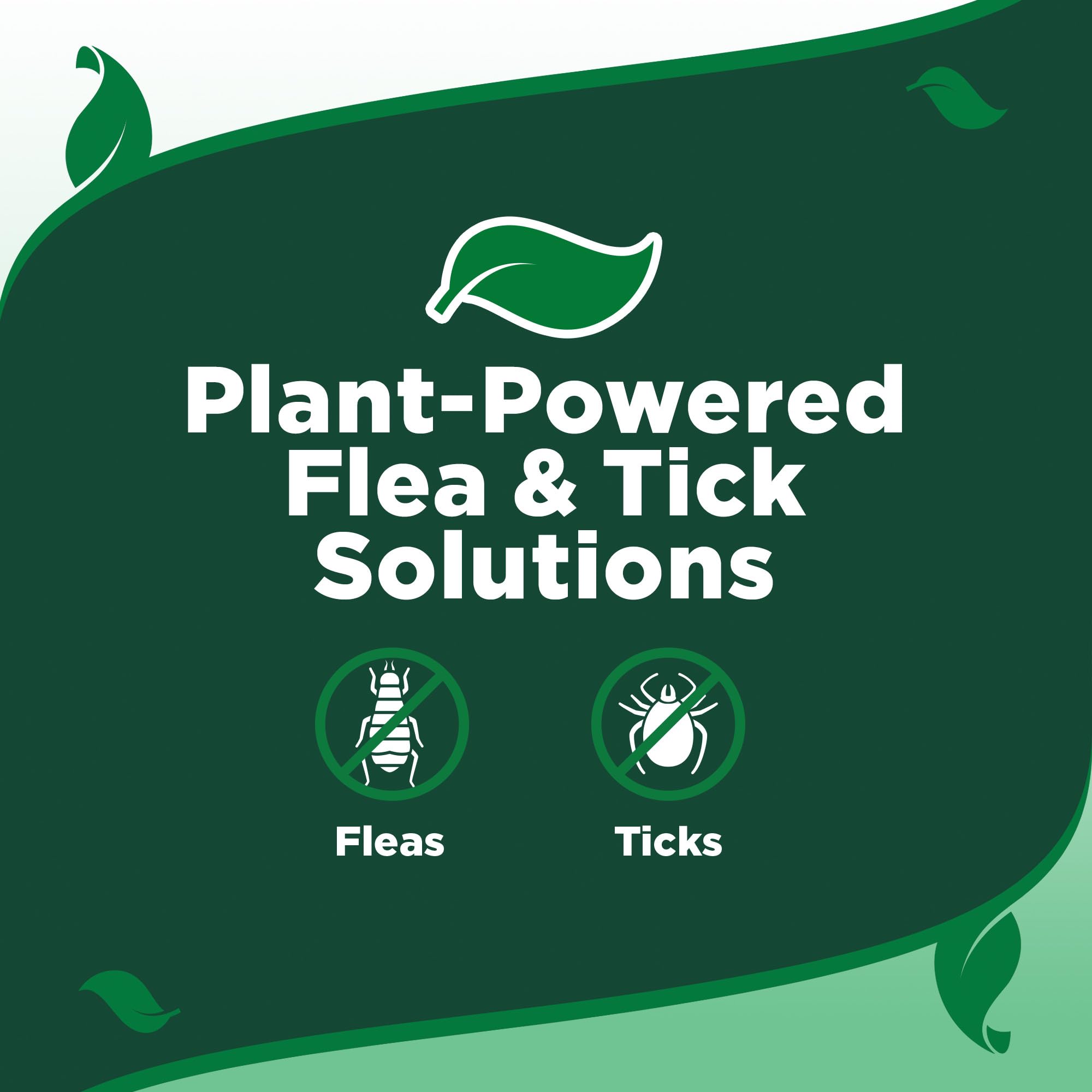 Vets Best Natural Flea and Tick Drops for Medium Dogs - Plant-Based Spot-On Treatment with Certified Essential Oils - Topical F