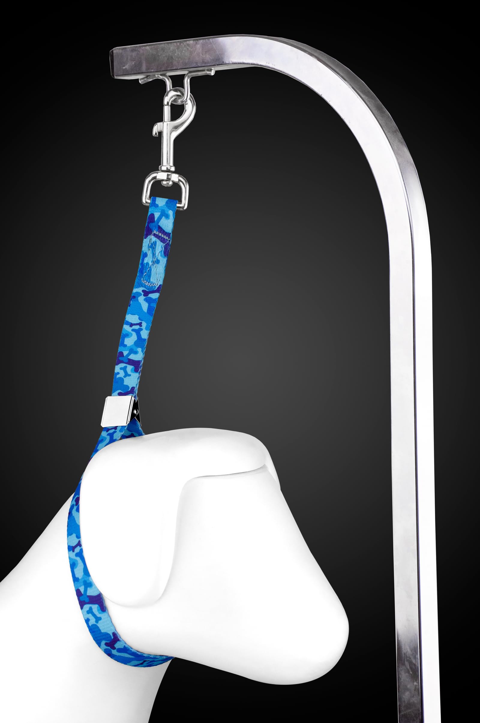 Country Brook Petz Dog & Pet 5/8 Inch Grooming Loop With Spring Loaded Clip - 18 Unique Designs For Grooming And Vet Tables (Blu