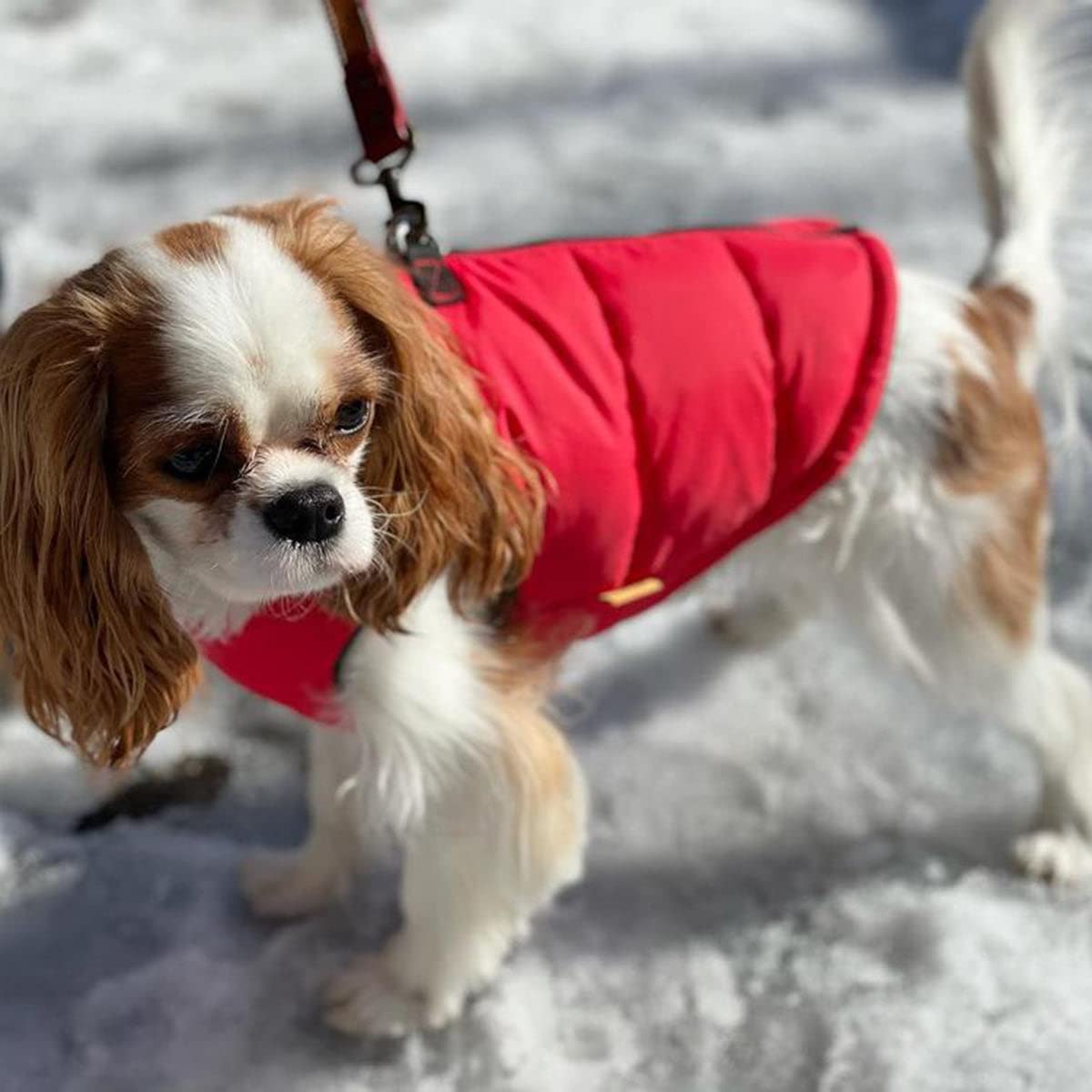 Gooby Padded Vest Dog Jacket - Solid Red, Large - Warm Zip Up Dog Vest Fleece Jacket With Dual D Ring Leash - Winter Water Resistant Small Dog Sweater - Dog Clothes For Small Dogs Boy And Medium Dogs