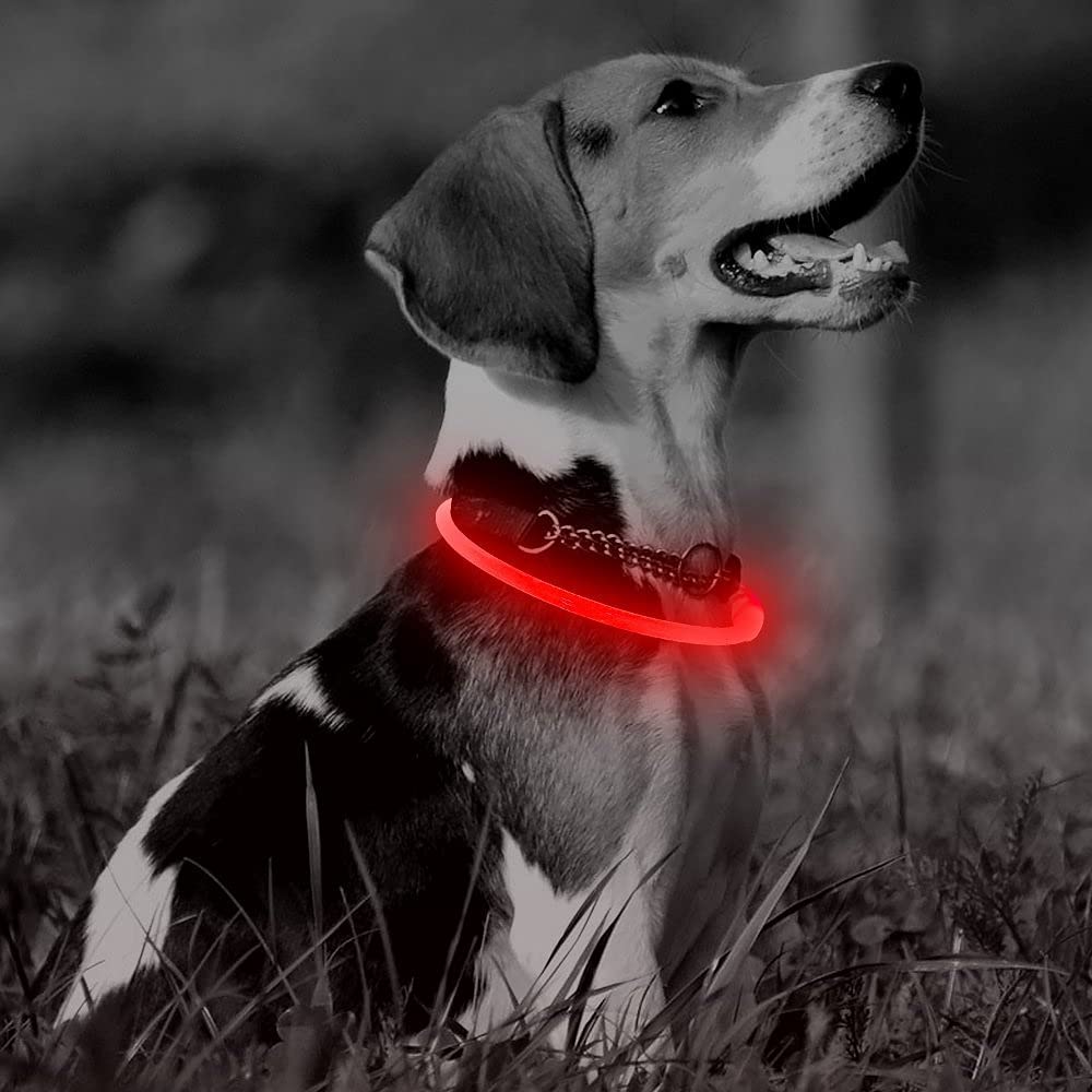 Higo LED Dog Collar - Rechargeable Light Up Safety Necklace, Red, 1 Count, Durable Thermoplastic Polyurethane for Nighttime Walking