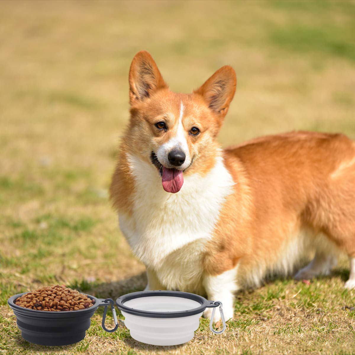 Collapsible Dog Bowl,2 Pack Portable And Foldable Pet Travel Bowls Collapsable Dog Water Feeding Bowls Dish For Dogs Cats And Small Animals,With Lids (Small, Blue+Red)
