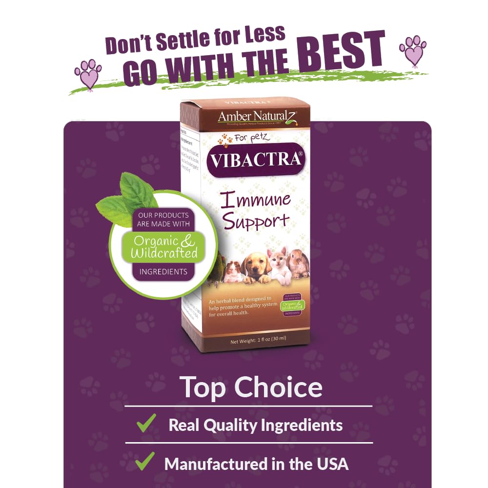 Amber NaturalZ Vibactra Immune Support Herbal Supplement for Dogs, Cats, Birds, Guinea Pigs, and Rabbits | Pet Herbal Blend for