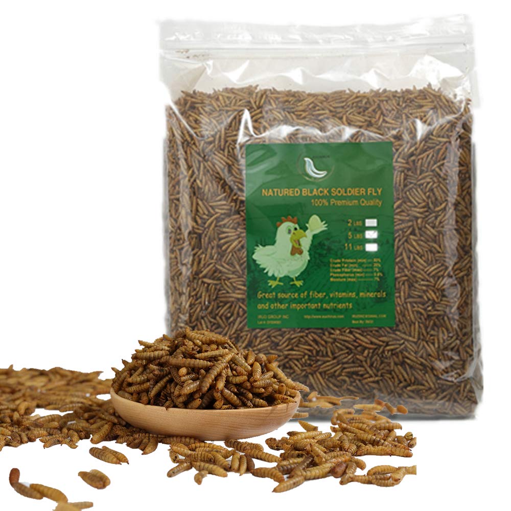 HANDPOINT 20LBS Black Soldier Fly Larvae Superior to Dried Mealworms for Chickens - Non-GMO - Treats for Birds Chickens Hedgehog