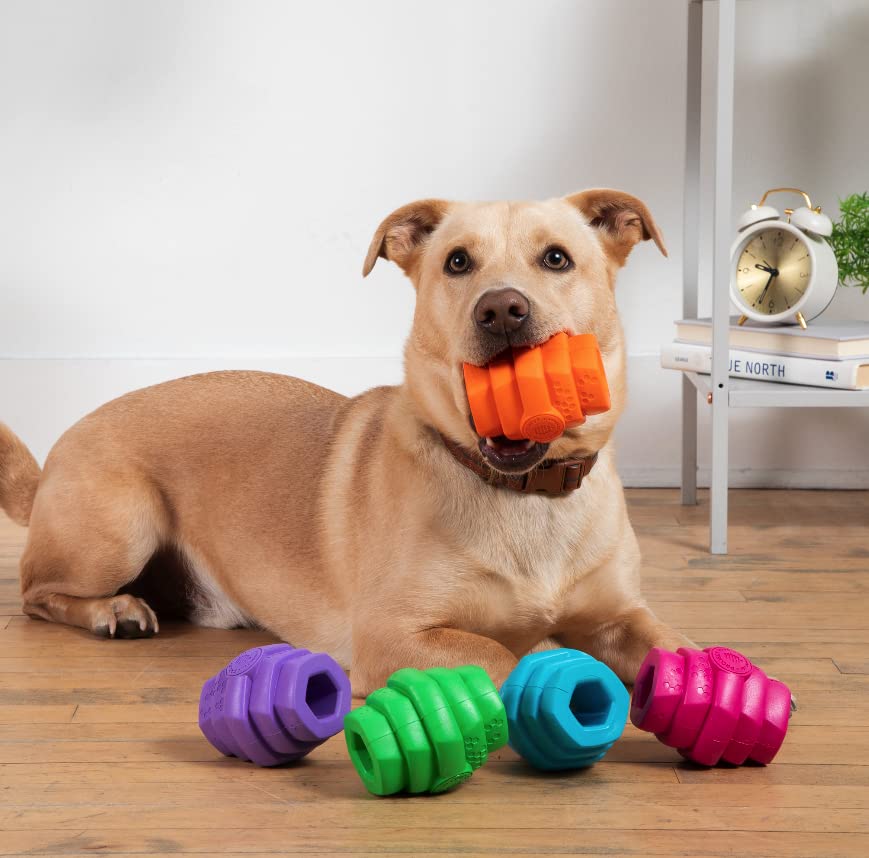 Project Hive ·Pet Company· - Sweet Mango Scented - Hive Chew Toy For Large Dogs - Dog Chew Toy For Large Breeds - Floats In Water - Durable And Tough - Made In The Usa