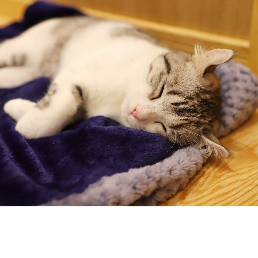 furrybaby Premium Fluffy Fleece Dog Blanket, Soft and Warm Pet Throw for Dogs & Cats(40x47inch, Blue)