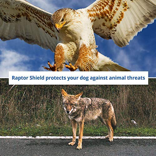 Raptor Shield Puncture Resistant Pet Vest For Small Dogs — Talon-Proof Protection Against Attacks By Coyotes, Hawks, Birds Of Prey, Made In The Usa, Four Sizes— Small, 4-6.5 Lbs, Chest 10.5 To 13.5'