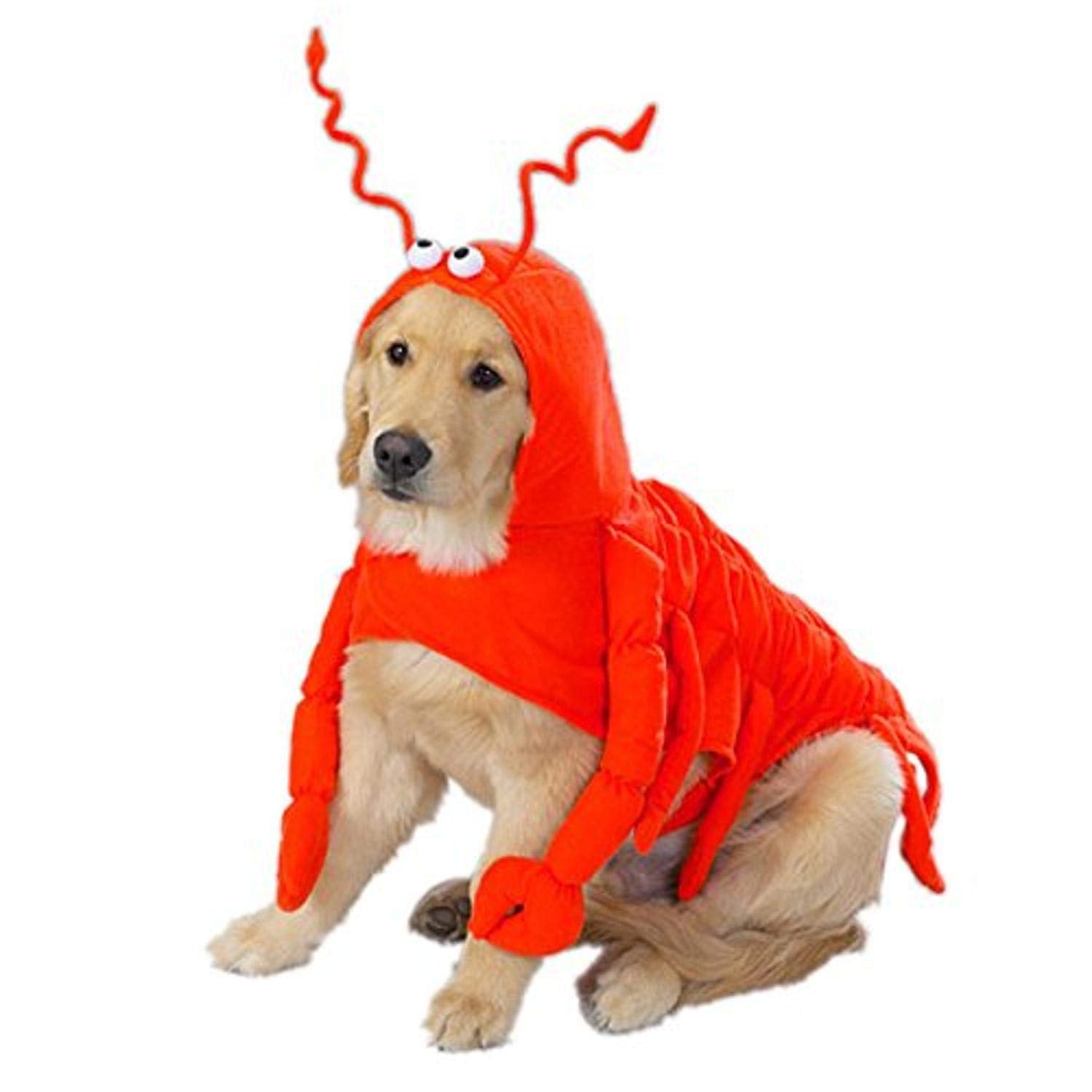 Casual Canine Lobster Paws Dog Costume, Medium (fits lengths up to 16), Red-Orange