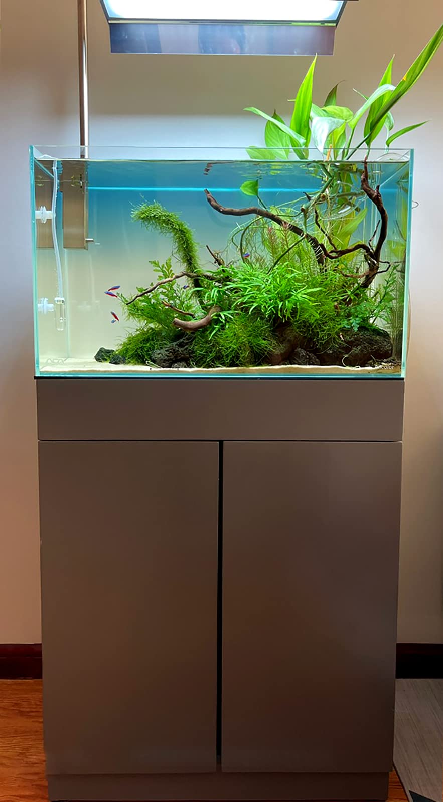 Allcolor Rimless Aquarium Tank, 21Gal Low Iron Glass, Clear, 23.6"L×13.7"W×14.9"H, Ideal for 6-60 Gallons,