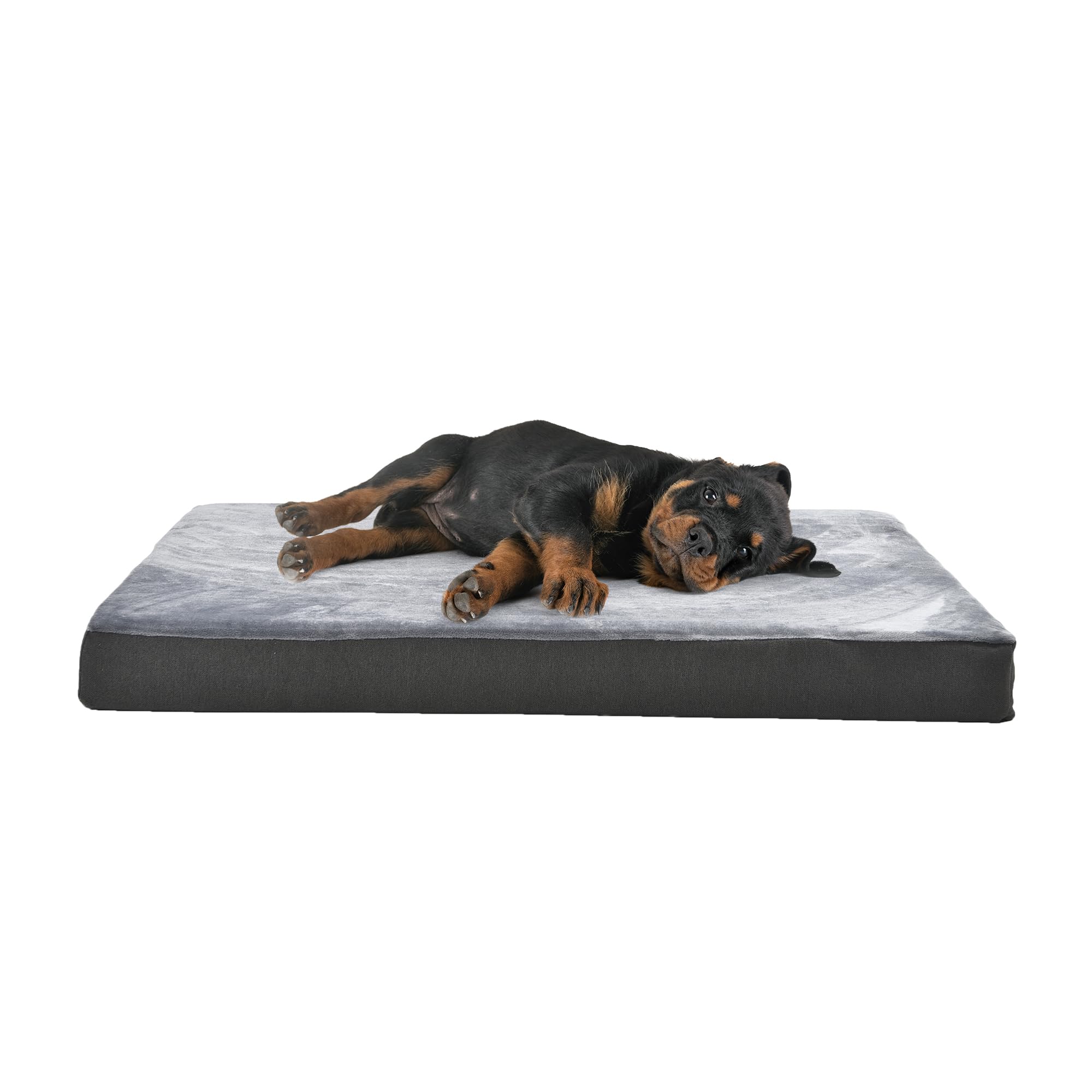 Amazon Basics Orthopedic Dog Bed Medium - Couch Style, Machine Washable, Non-Skid Removable Cover, 35'' X 22'' X 3.0'', Grey