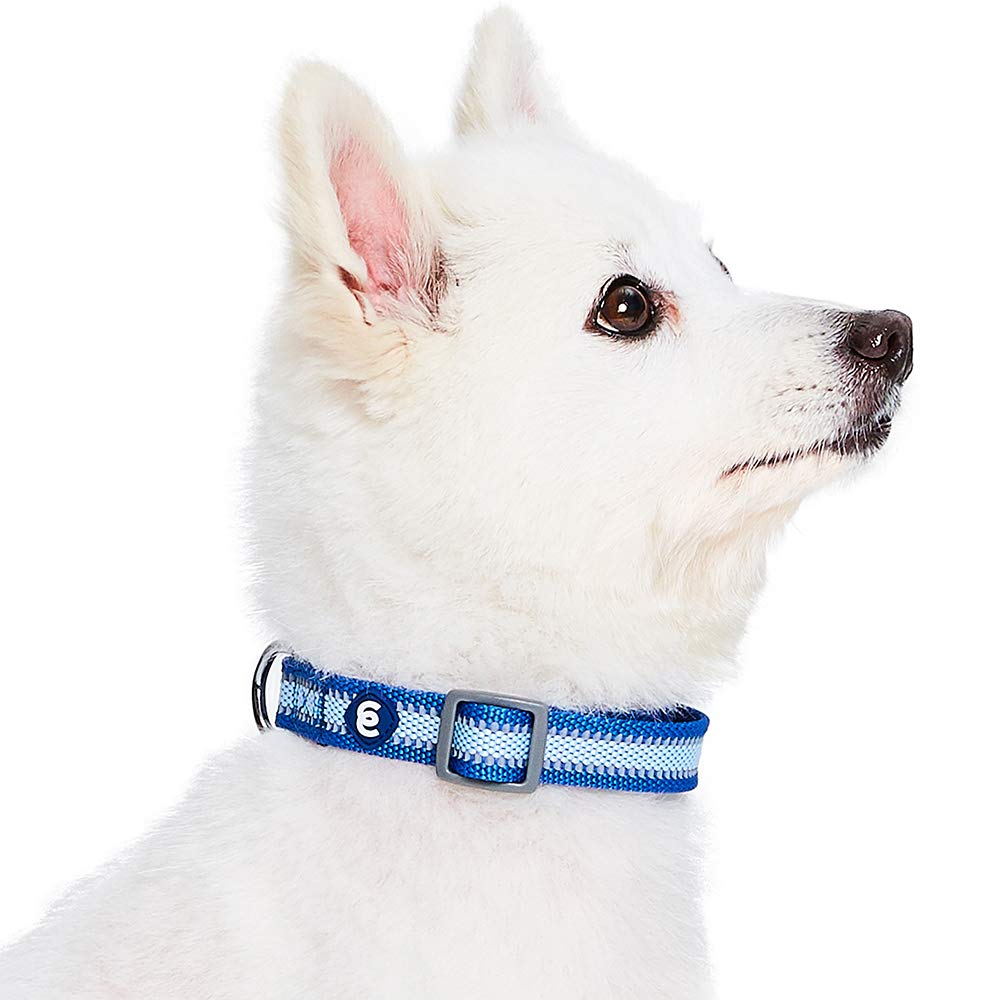 Blueberry Pet Essentials Reflective Back To Basics Adjustable Dog Collar, Navy Blue, Large, Neck 18'-26'
