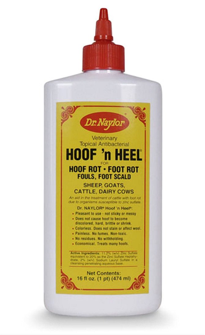 Dr. Naylor Hoof n' Heel - Foot Rot Treatment, 16 oz, Wool Material, Model 94515 HHP
