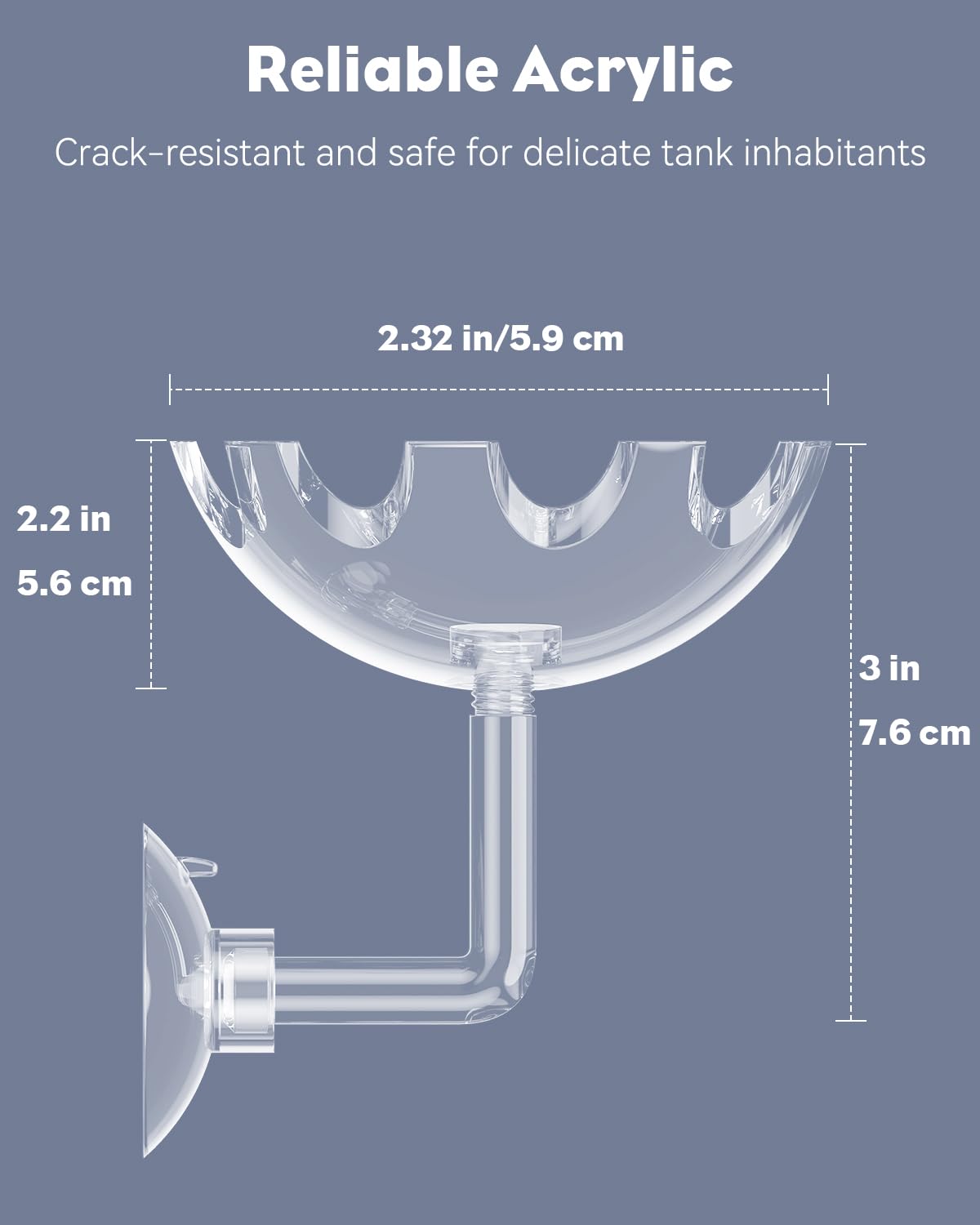 Pawfly Shrimp Feeding Dish With Suction Cup, Clear Acrylic Aquarium Shrimp Feeder, Fish Feeding Tray For Freshwater And Saltwate