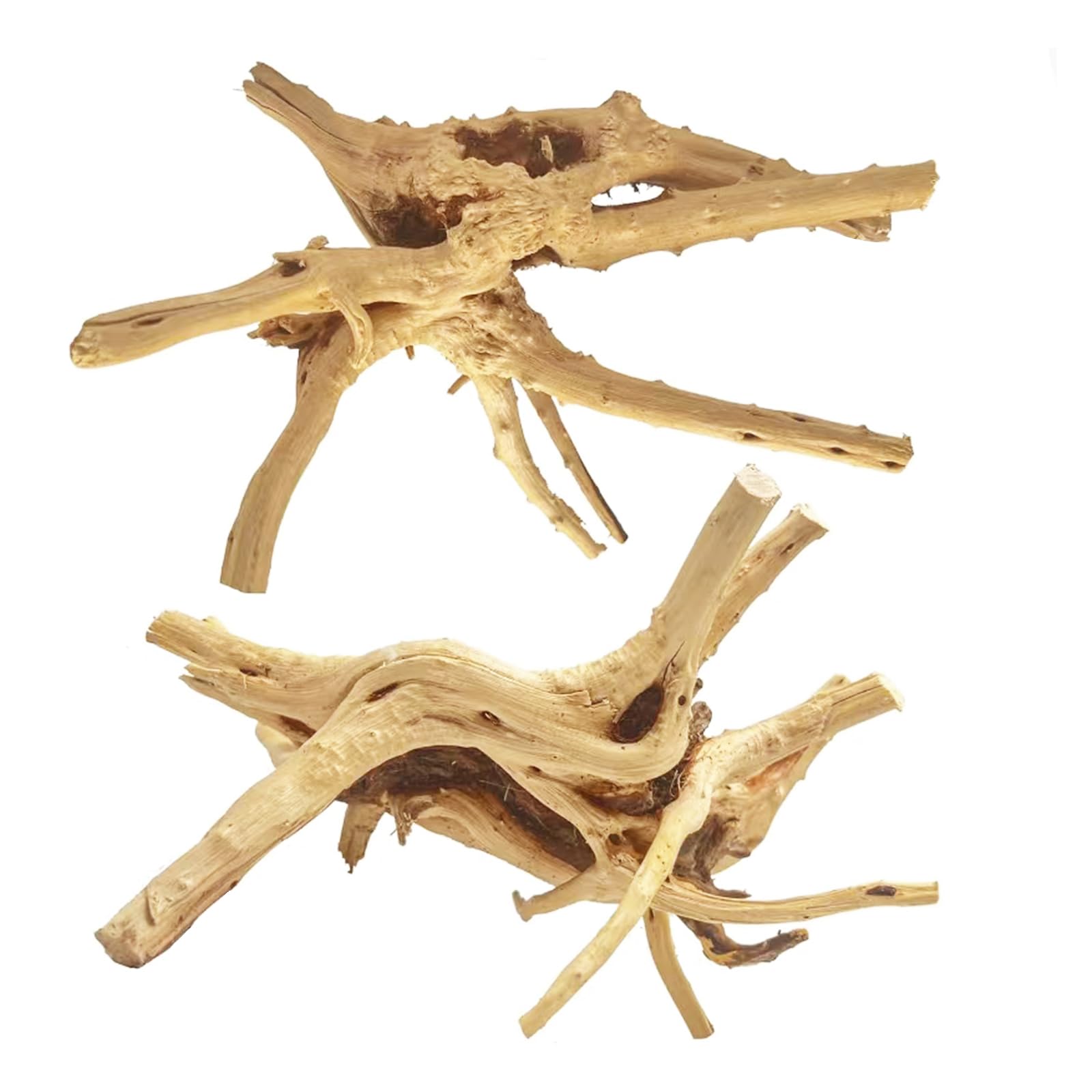 Jorewood Natural Large Spiderwood Driftwood for Aquarium Decor Rptile Fish Tank Decoration Assort Branch 11-14   2 Pcs