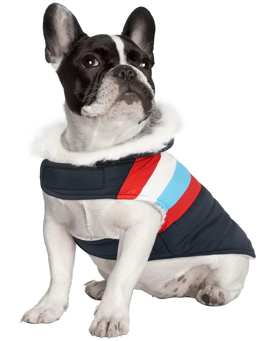 Hde Dog Puffer Jacket Fleece Lined Warm Dog Parka Winter Coat With Harness Hole Patriotic - S