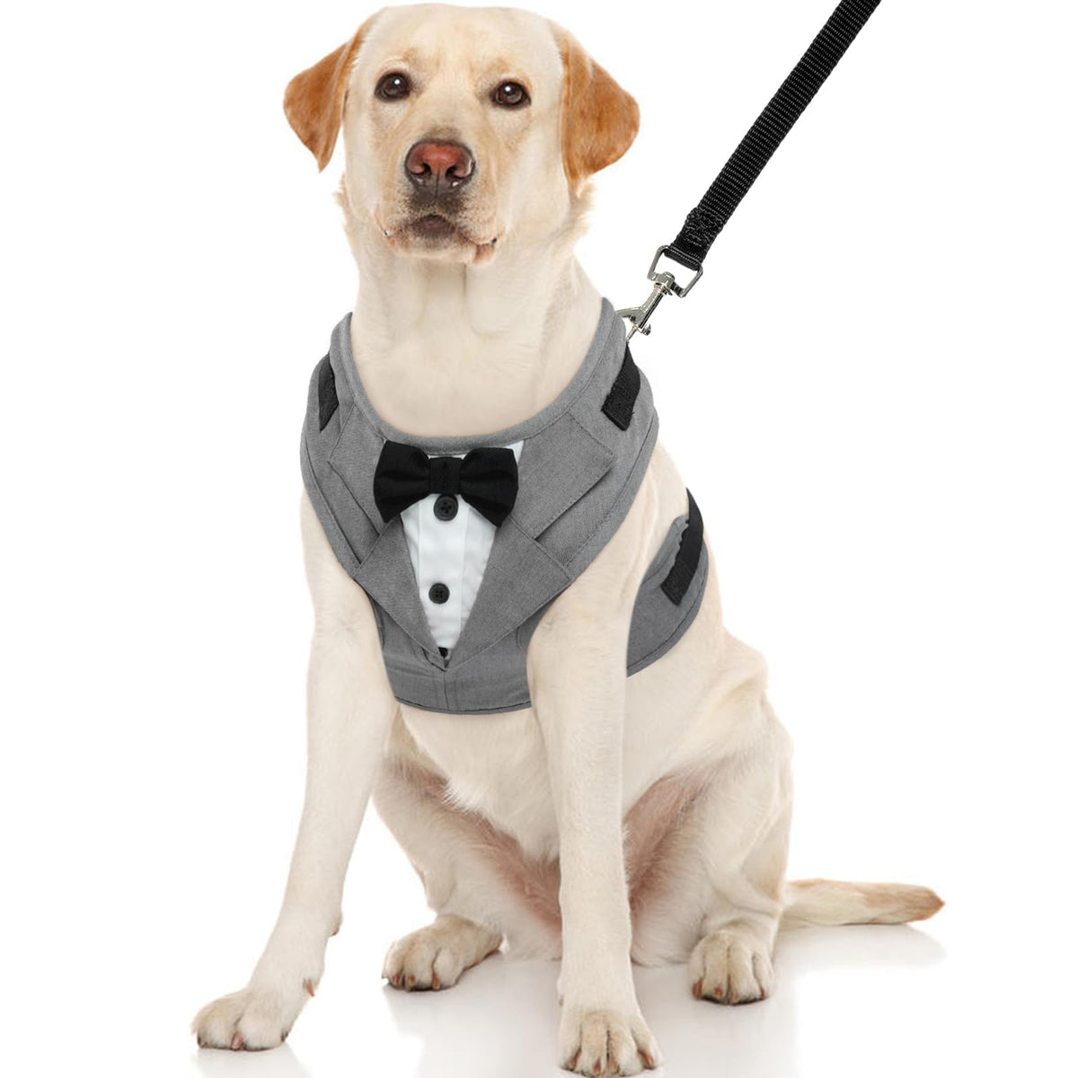 Kuoser Dog Tuxedo Harness, Adjustable Dog Harness No Pull For Small Medium Dogs, Dog Wedding Suit With Bow Tie Party Costume Gra