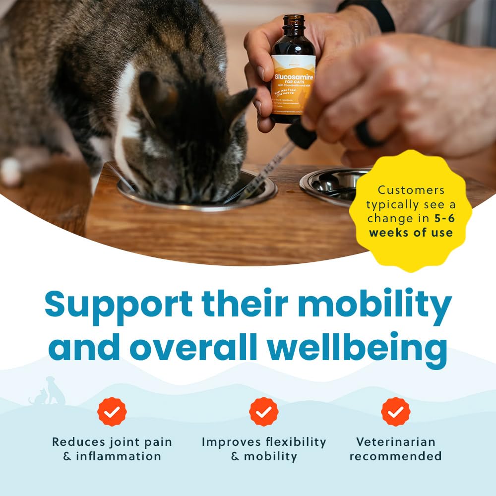 100% Natural Liquid Glucosamine Chondroitin with MSM for Cats, Hip & Joint Supplement for Senior Felines, Arthritis Support & Mo