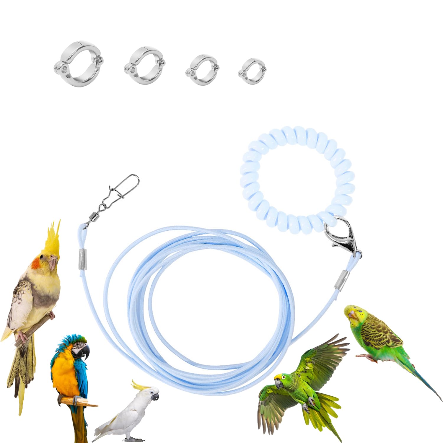 UtySty Parrot Flying Rope Lightweight Bird Harness Leash with Foot Ring Leg Band Elastic Bird Flying Leash Outdoor Training Trac