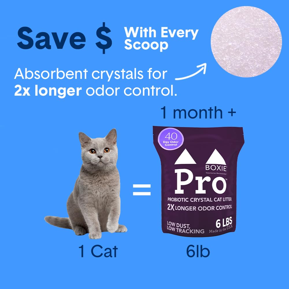 Boxie Probiotic Cat Litter, 40-Day Odor Control, Non-Clumping, Dust-Free, Crystal, 6lb, Multi-Cat