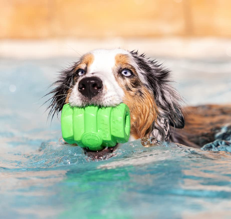 Project Hive ·Pet Company· - Tropical Coconut Scented - Hive Chew Toy For Large Dogs - Dog Chew Toy For Large Breeds - Floats In Water - Durable And Tough - Made In The Usa