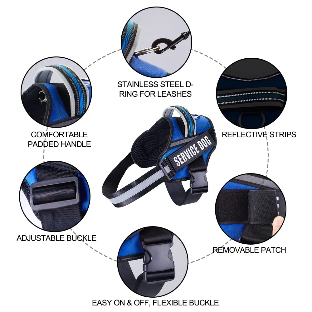 Service Dog Vest Harness And Leash Set, Animire In Training Dog Harness With 8 Dog Patches, Reflective Dog Leash With Soft Padded Handle For Small, Medium, Large, And Extra-Large Dogs (Blue,S)