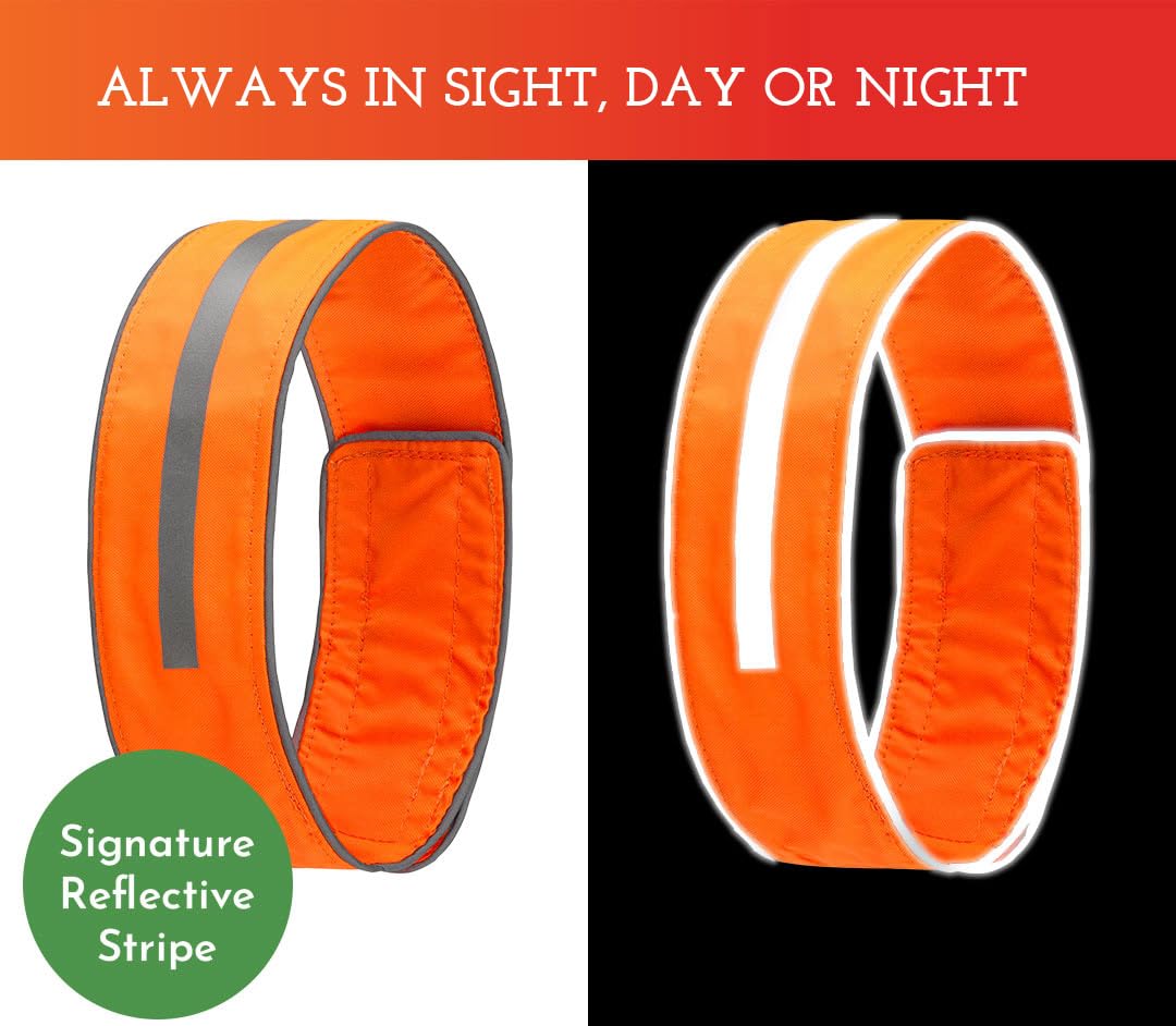 Spot The Dog! Reflective Dog Collar - Adjustable Pet Collars, Safe, Durable, Comfortable Dog Walking Accessories For Small Dog, Hunting Dog, Puppy, Lightweight Boy, Girl Dog Collars (Blaze Orange, S)