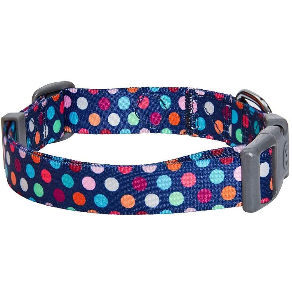 Blueberry Pet Essentials Rainbow Polka Dots Adjustable Dog Collar, Large, Neck 18''-26''