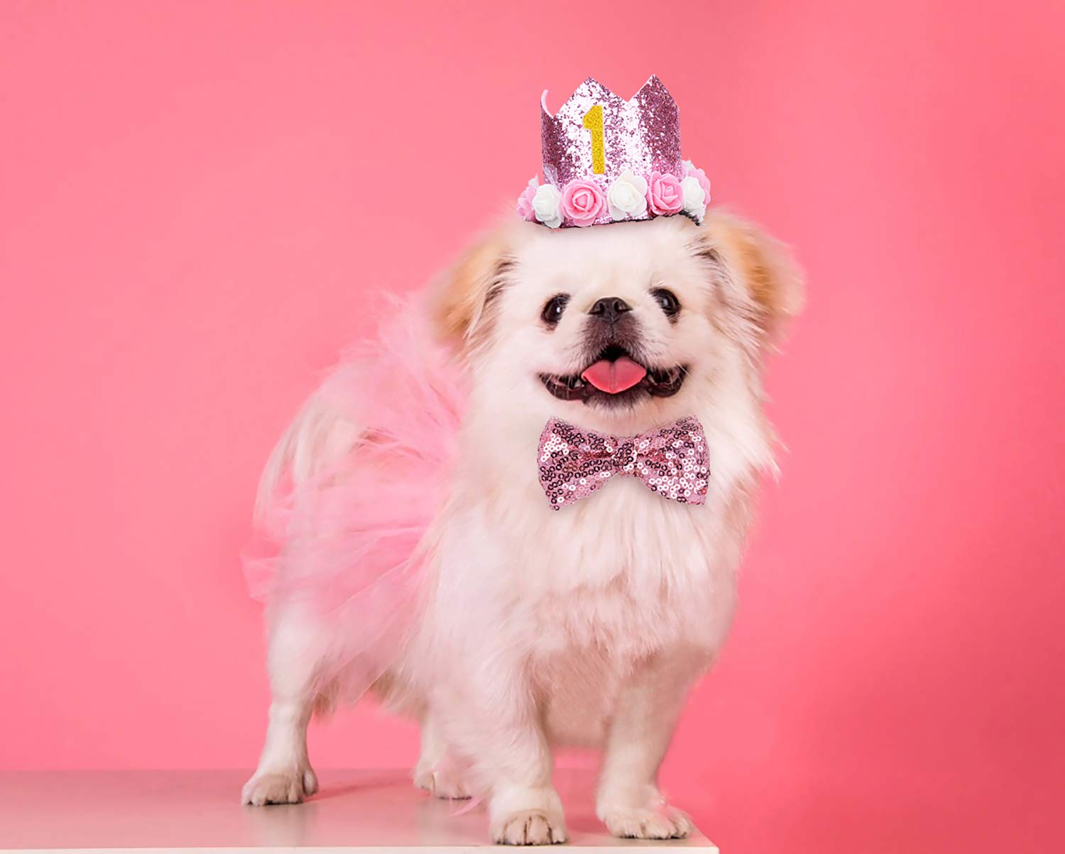Legendog Dog Tutu Skirt, Dog Birthday Party Supplies - Dog Birthday Hat - Dog Bowtie, Cute Pink Dog Birthday Outfit Girl, Dog Dresses For Small Dogs