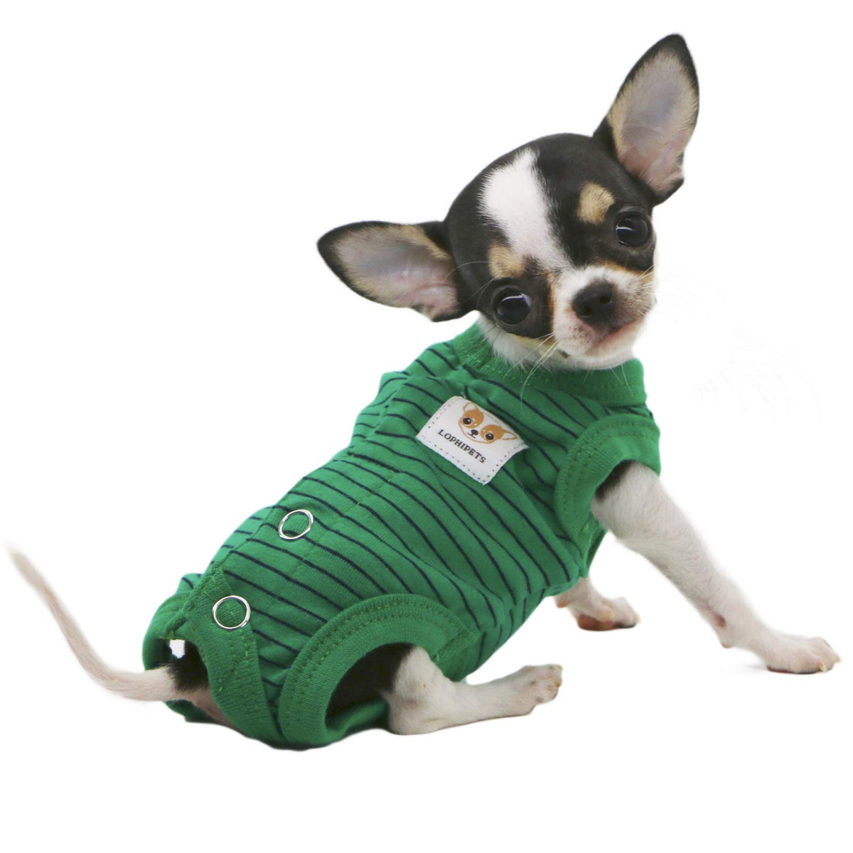 Lophipets Girl Dog Shirts Recovery Suit Pajamas For Small Teacup Dog Chihuahua Yorkie Puppy Cat Clothes-Green Strips/Xs