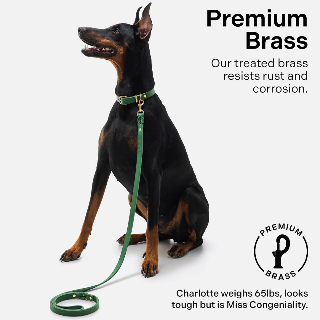 Scout Supply Classic Leather Dog Leash | Strong Heavy Duty Thick Full Grain Leather | Waterproof & Rust-Proof Brass Hardware (Gr