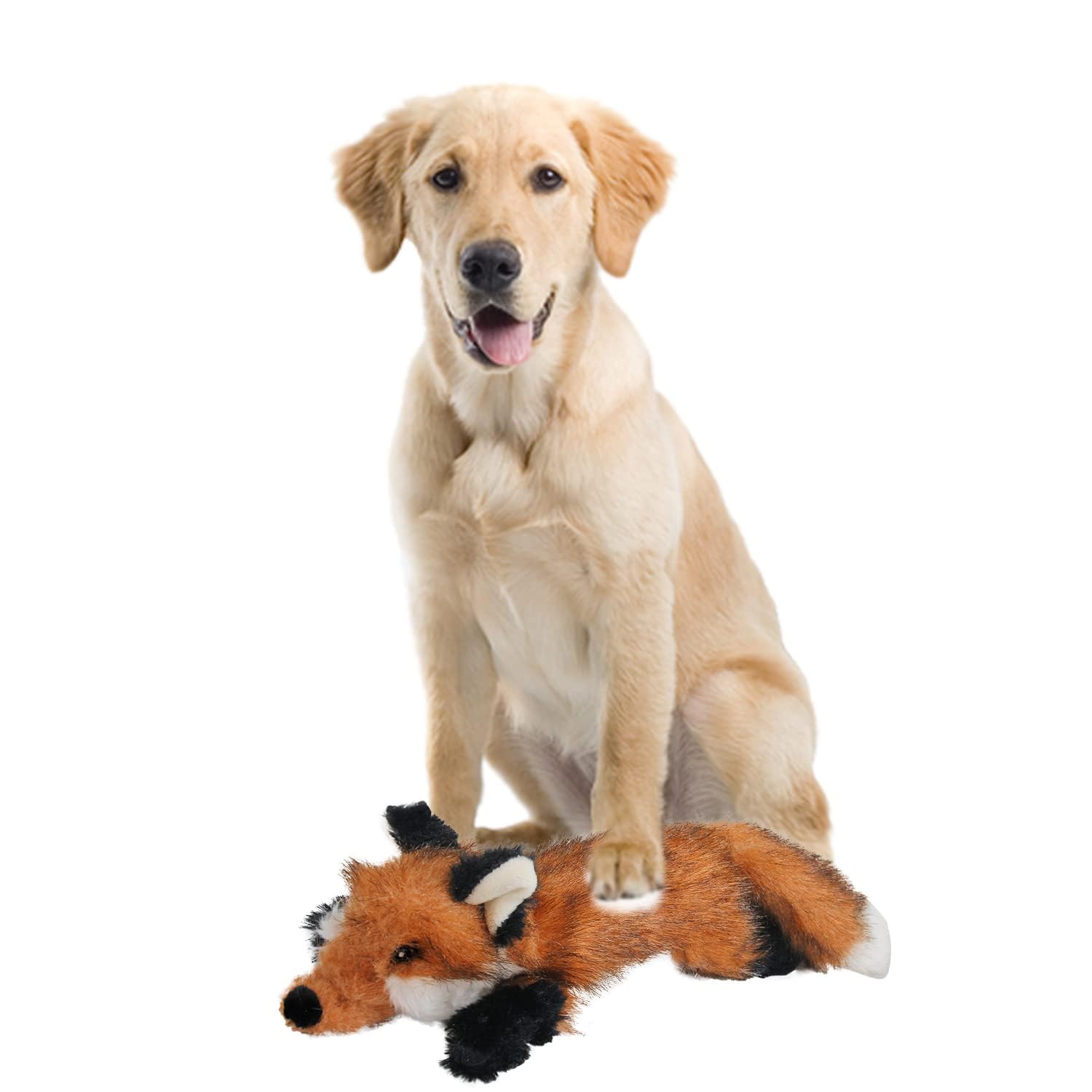 ALL FOR PAWS Squeaky Dog Toys,Animal Plush Dog Toy,Stuffed Dog Toys,Puppy Toys for Teething Small Dogs
