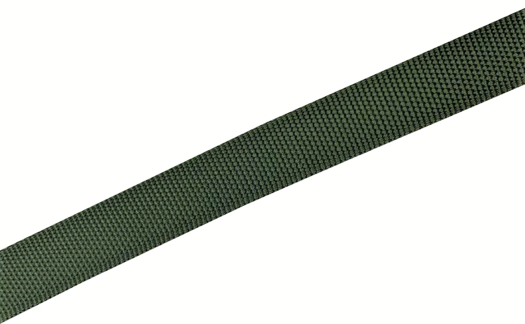 Taian 4Ft/5Ft/6Ft Strong Dog Leash, Nylon Dog Leashes For Small Medium Large Dogs (1 In X 5 Ft, Green)