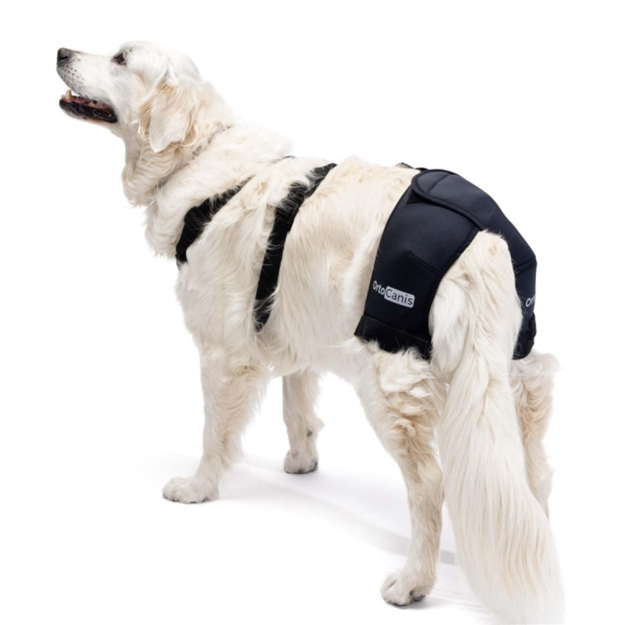 Ortocanis - Hip Support for Dogs with Hip Dysplasia or Osteoarthritis (M)
