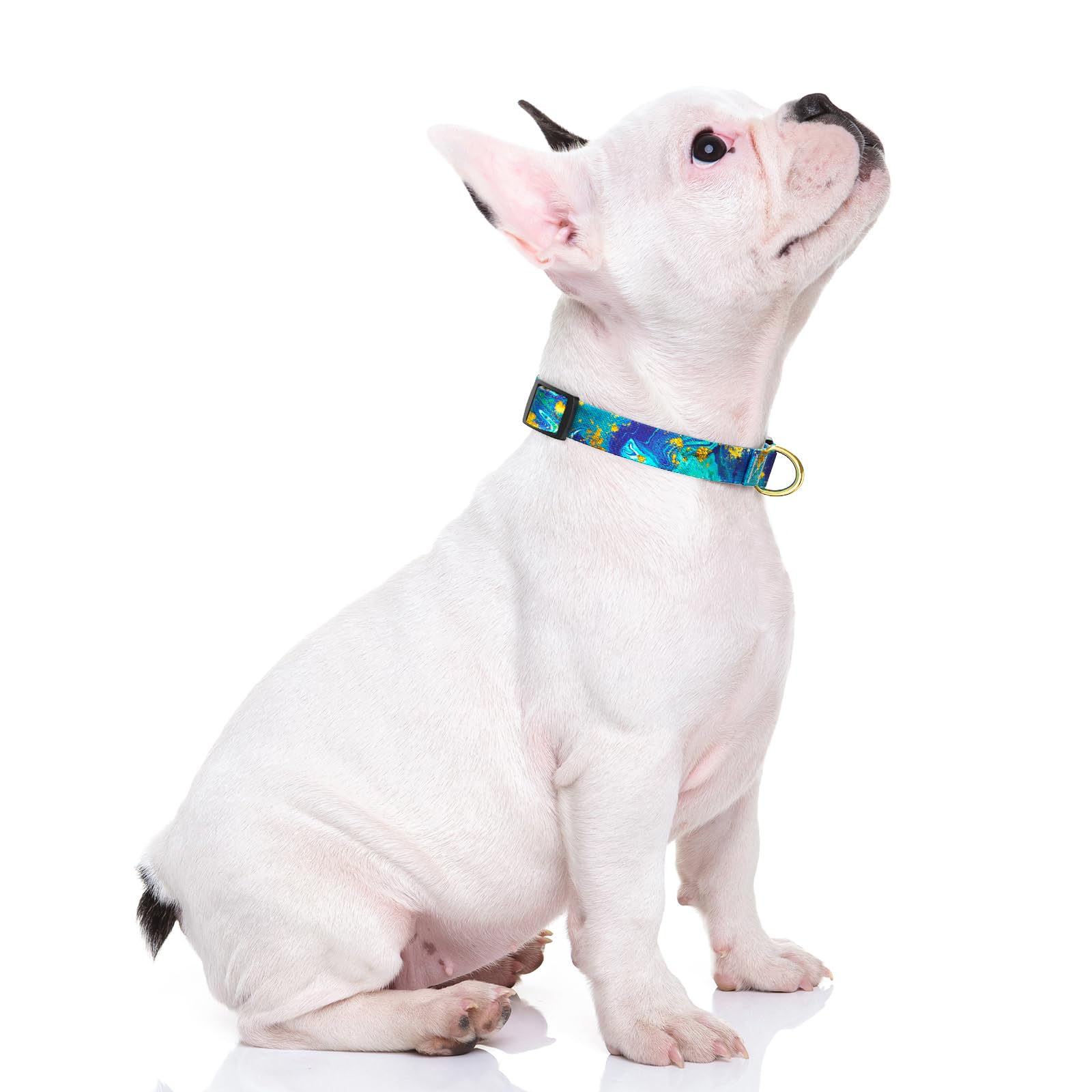 Rnivvi Dog Collar For Small Dogs, Cute Marble Heavy Duty Adjustable Puppy Collar With Quick Release Buckle For Girl & Female, Pe