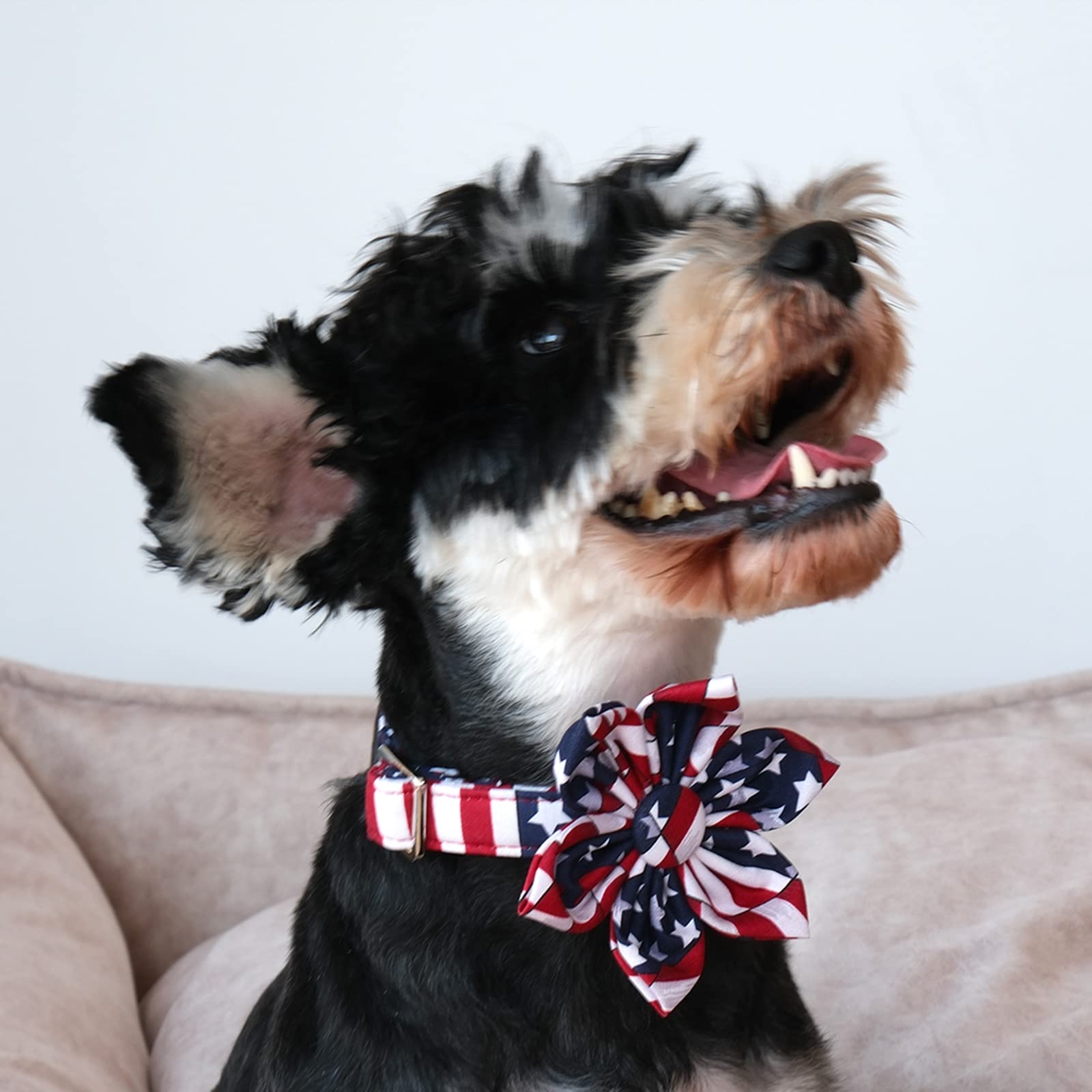 Lionet Paws Christmas Dog Collar With Bowtie, Dog Bowtie Collar With Metal Buckle For Dogs, Adjustable Comfortable Dog Collar Girl Boy Gift, Xl, Neck 16-26 In