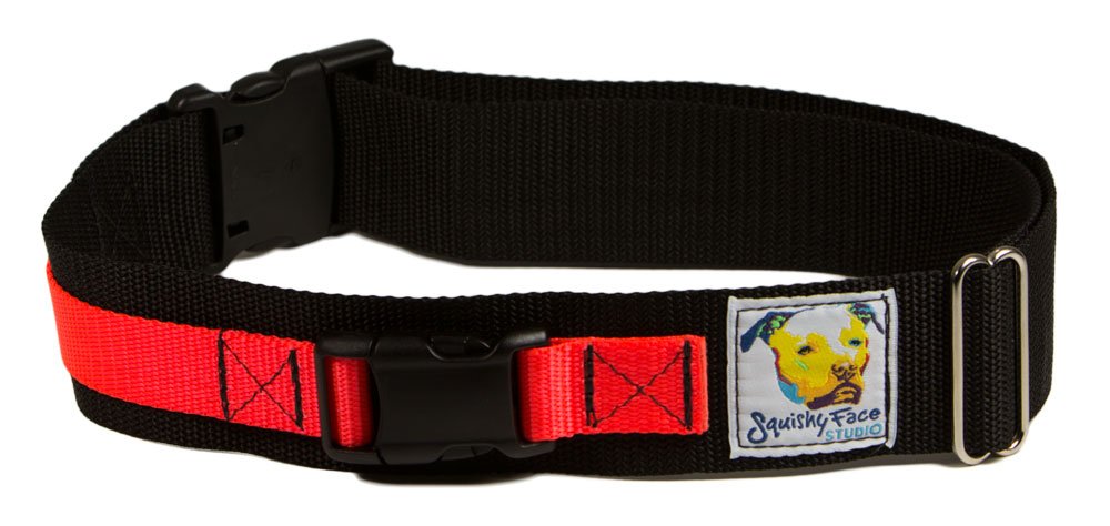 Squishy Face Studio Hands Free Dog Leash Belt - Medium-Large - Neon Orange