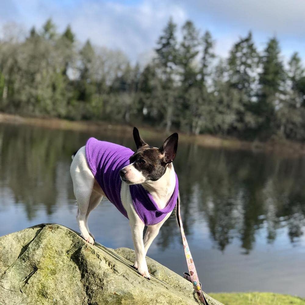 Gooby Fleece Vest Dog Sweater - Lavender, Medium - Warm Pullover Fleece Dog Jacket with O-Ring Leash - Winter Small Dog Sweater