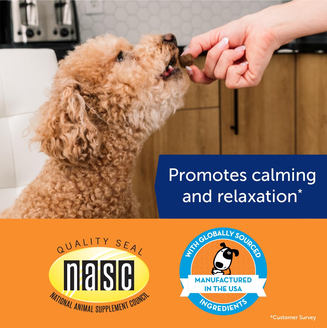 ThunderWunders Hemp Dog Calming Chews | Vet Recommended for Situational Anxiety | Fireworks, Thunderstorms, Travel & More | Made