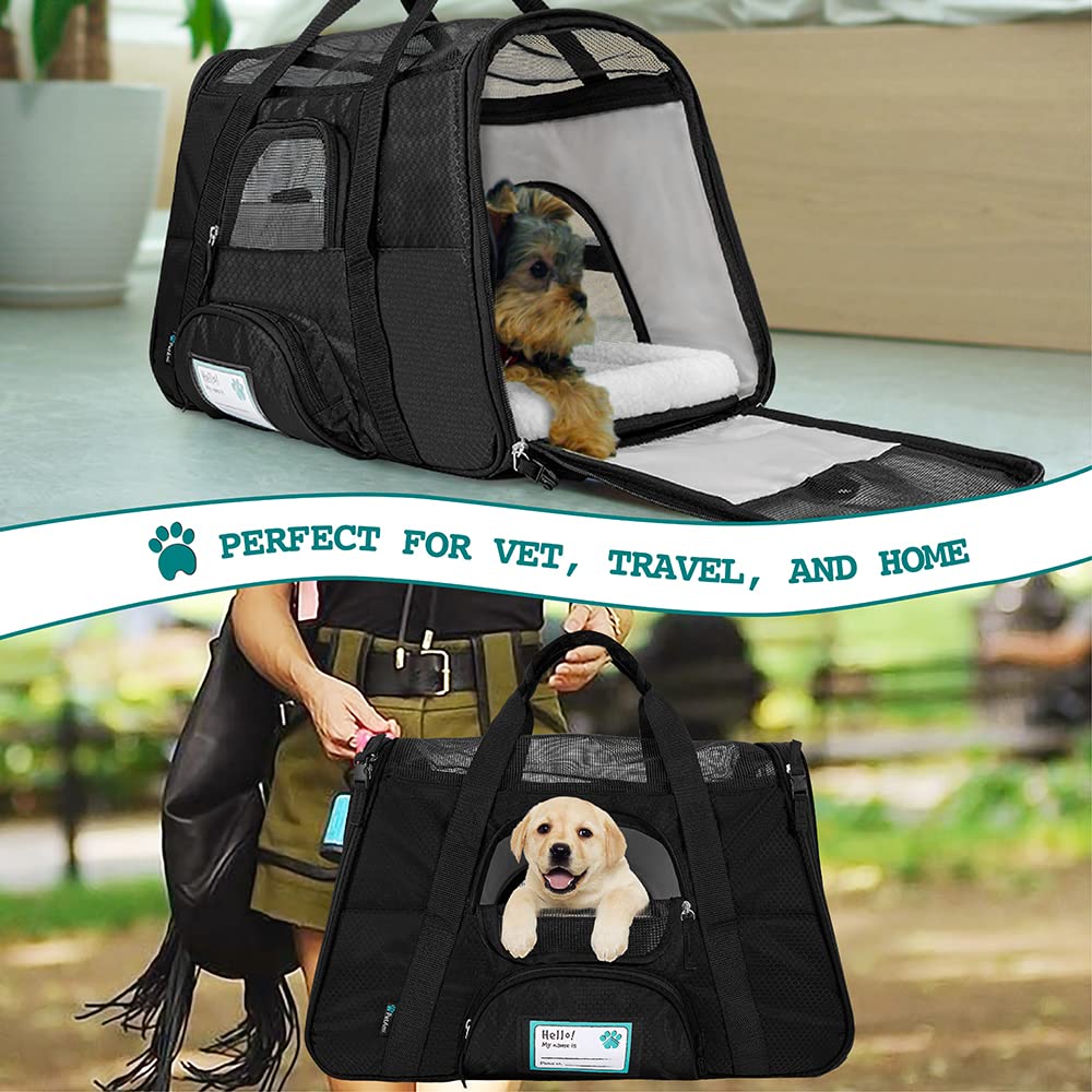 Petami Airline Approved Pet Carrier For Cat, Soft Sided Dog Carrier For Small Dogs, Cat Travel Supplies Accessories For Indoor Cats, Ventilated Pet Carrying Bag Medium Large Kitten Puppy, Large Black